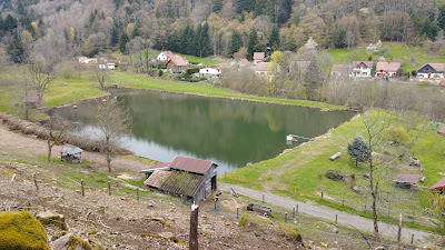 Étang à Lepuix