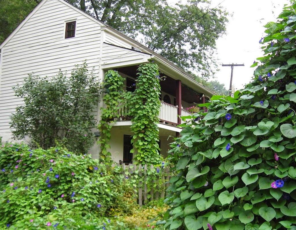 Bellewood Wellness Center 08802