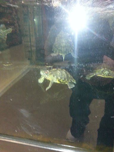 Pet Supply Store «Petco Animal Supplies», reviews and photos, 187 Stonebrook Pl, Jackson, TN 38305, USA