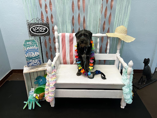 Pet Supply Store «3 Dogs and a Chick», reviews and photos, 130 Miracle Strip Pkwy SE, Fort Walton Beach, FL 32548, USA