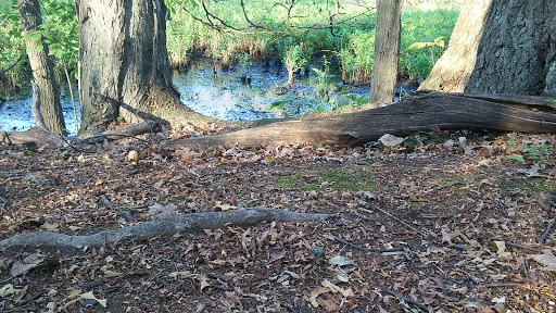 Nature Preserve «Gummere Woods And Marsters Preserve Trail», reviews and photos, 4 Wheeler Rd, North Grafton, MA 01536, USA