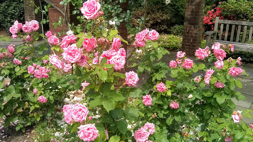 Heritage Museum «Hillwood Estate, Museum & Gardens», reviews and photos, 4155 Linnean Ave NW, Washington, DC 20008, USA