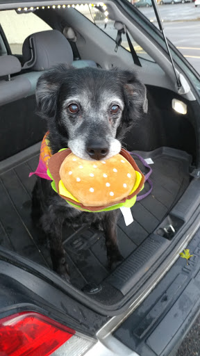 Pet Supply Store «Pet Supplies Plus», reviews and photos, 5230 S Westnedge Ave, Portage, MI 49002, USA