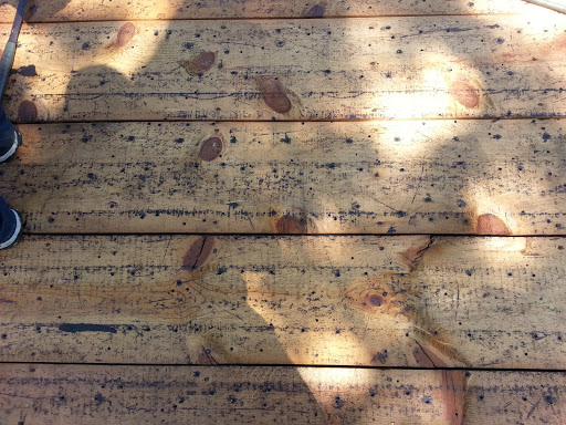 Roofing Contractor «Alvarez Home Repairs, LLC», reviews and photos, 13101 Automobile Blvd, Clearwater, FL 33762, USA