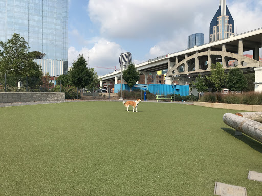 Downtown Dog Park