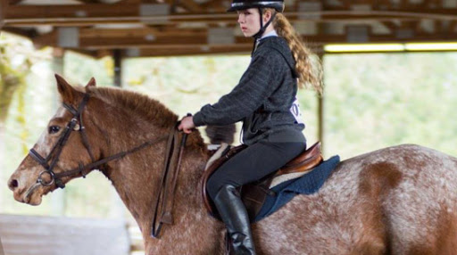 Wilsonville Equestrian Center