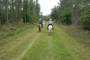 Silver Springs Forest Conservation Area Equestrian Trail image