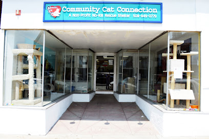 The Community Cat Connection