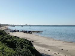 Saldanha beach'in fotoğrafı vahşi alan