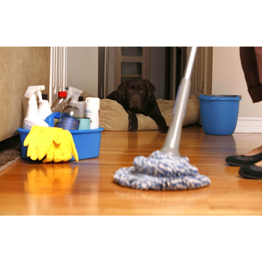House Cleaning Service «Magic Mops Cleaning», reviews and photos, 4203 Collinwood Dr, Melbourne, FL 32901, USA