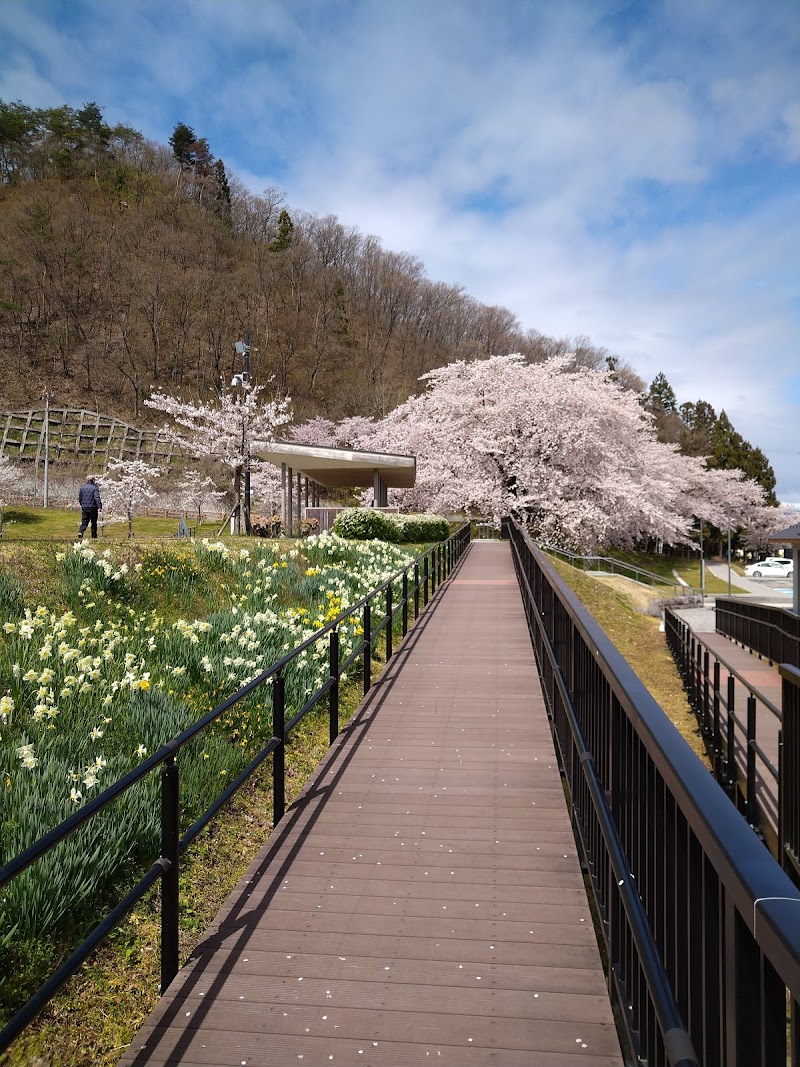 天童公園駐車場