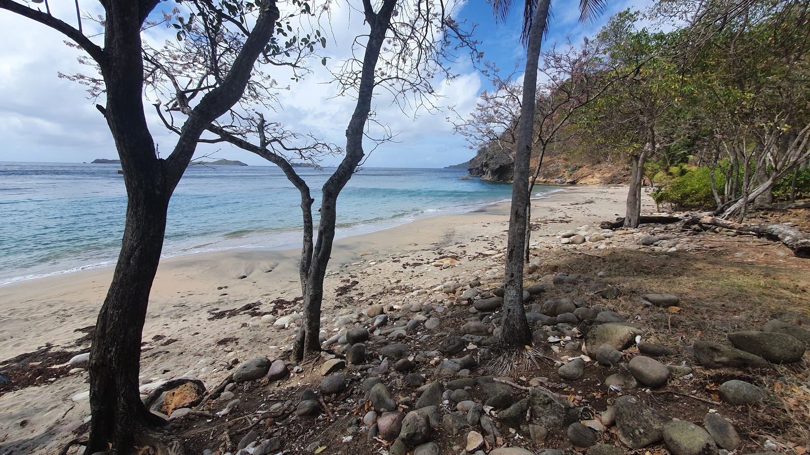 Plage de l'Anse Crawen photo #8