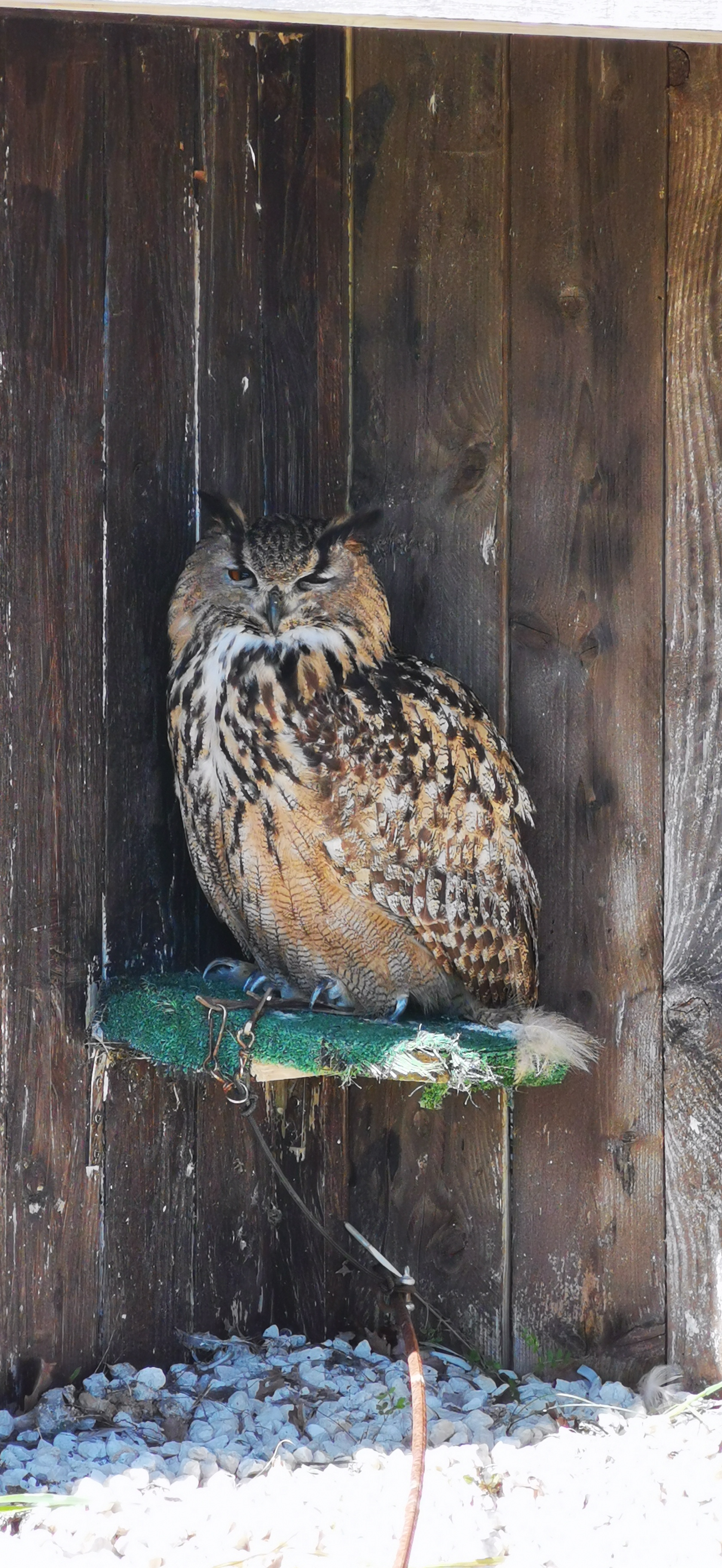 Photo n° 2 de l'avis de cjvl. fait le 10/04/2022 à 19:51