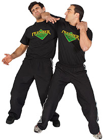 Premier Martial Arts - Photo 3 - Car repair in Elk Grove, CA, Elk Grove