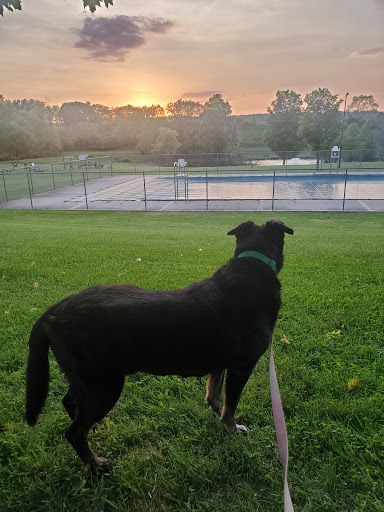 Park «Maple Hill Dog Park», reviews and photos, 390 County Rd 78, Middletown, NY 10940, USA