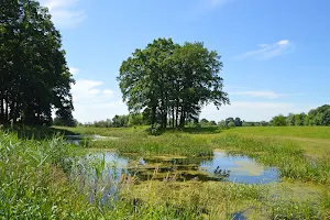 Park Błonie image