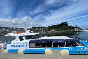 (Ltd.) Manazuru Peninsula pleasure boat image