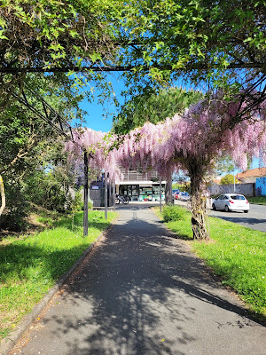 Centre Social de Tasdon Bongraine Les Minimes à La Rochelle