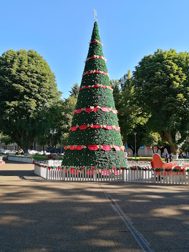Plaza De Armas Victoria - Victoria