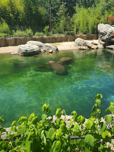 Zoo «Dallas Zoological Society», reviews and photos, 650 S R L Thornton Fwy, Dallas, TX 75203, USA