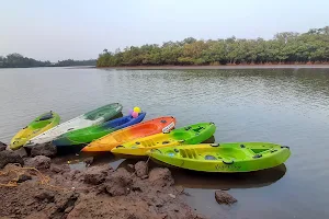 Chapora mangroves kayaking image