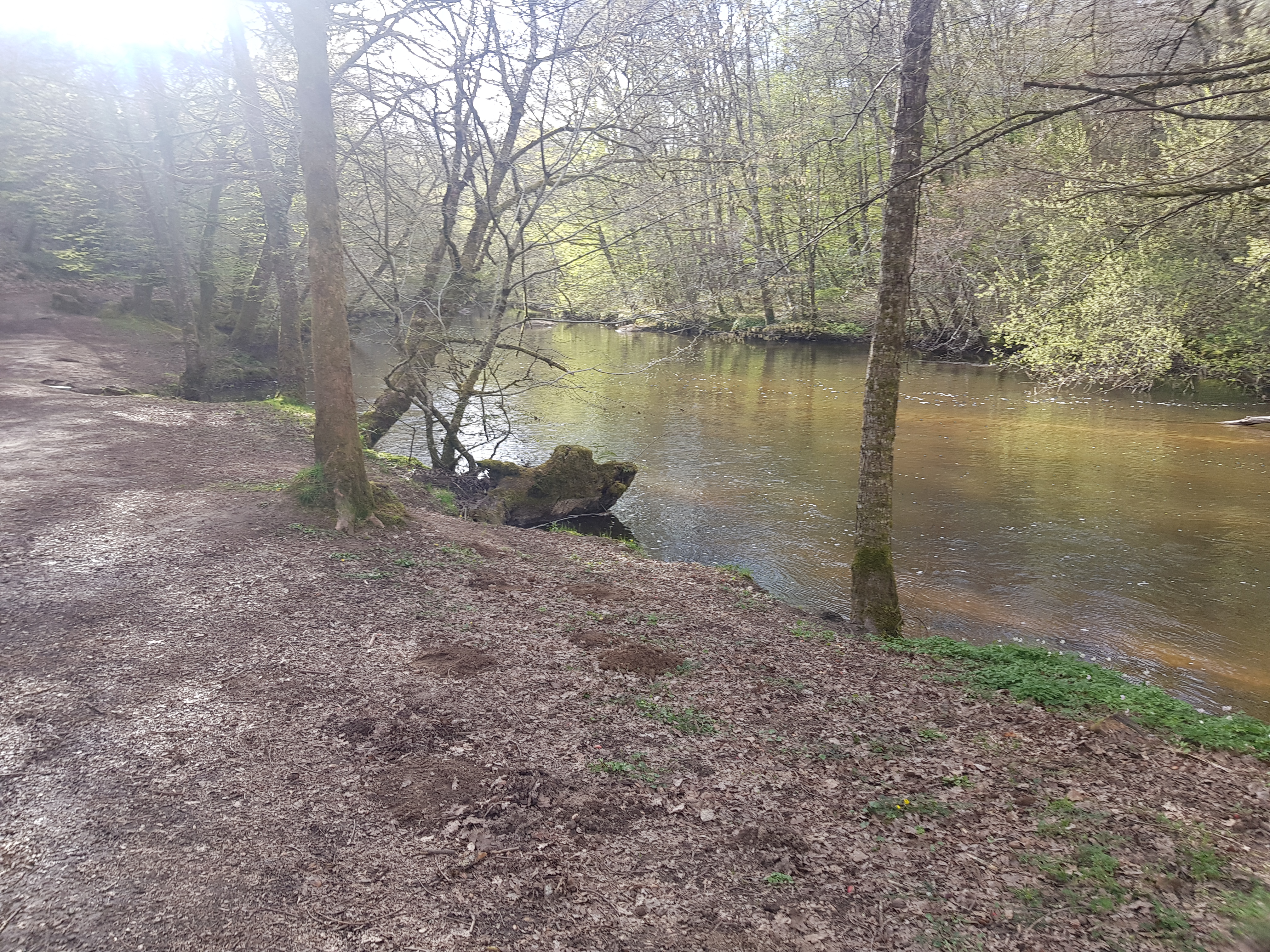 Photo n° 4 de l'avis de zaz.o fait le 24/04/2019 à 04:46