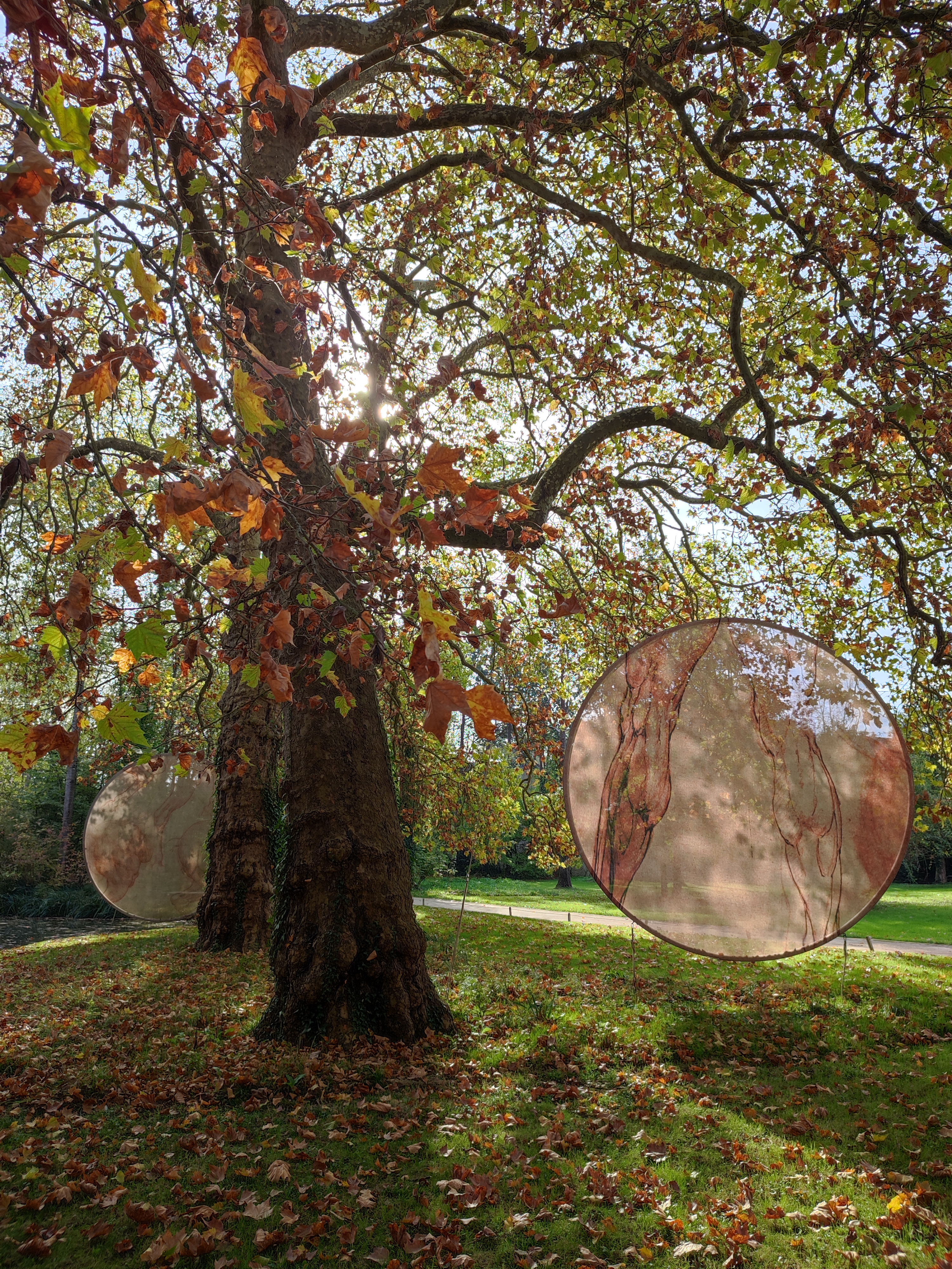 Photo n° 11 de l'avis de RAULET.u fait le 01/11/2022 à 14:44