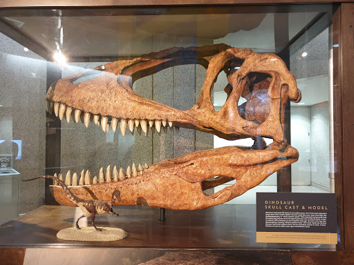 Museum «National Geographic Museum», reviews and photos, 1145 17th Street NW, Washington, DC 20036, USA