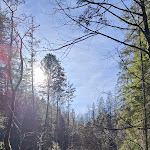Photo n°2 de l'avis de Zecke. fait le 19/02/2024 à 08:03 sur le  Hotel-Pension Alpenstern à Schönau am Königssee