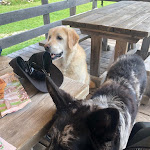 Photo n°1 de l'avis de Andrea.e fait le 22/08/2023 à 13:40 sur le  Hotel Sat Lagorai à Val Campelle