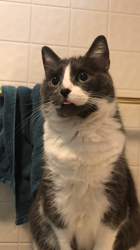 Explore harmonica tattoo ideas, creative tattoo ideas in Erie, available at Andromeda Studios