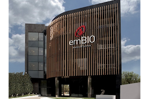 ΓΑΤΟΣ ΗΛΙΑΣ EMBIO MEDICAL CENTER Γυναικολόγος Μαιευτήρας Ειδικός στην Εξωσωματική Γονιμοποίηση και Ενδοσκοπική Χειρουργική image