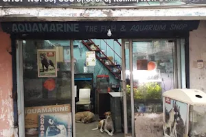 Aquamarine The Fish & Aquarium Shop image