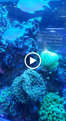 Tropical Fish Store «The Premium Aquarium», reviews and photos, 1875 25th St SE, Salem, OR 97302, USA