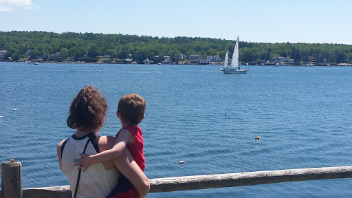 Aquarium «Maine State Aquarium», reviews and photos, 194 McKown Point Rd, West Boothbay Harbor, ME 04575, USA