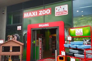 Maxi Zoo Bilzen image