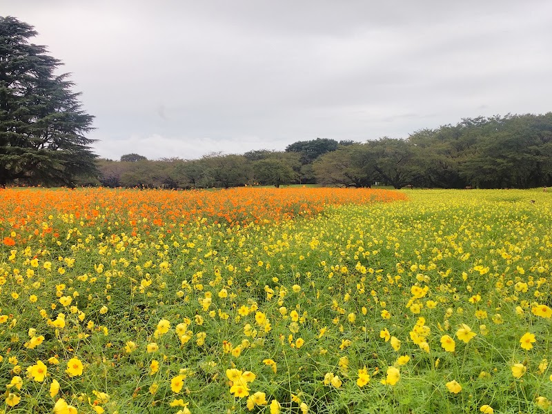 国営昭和記念公園 管理センター