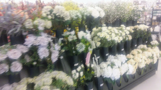 Craft Store «Hobby Lobby», reviews and photos, 12550 Amargosa Rd C, Victorville, CA 92392, USA