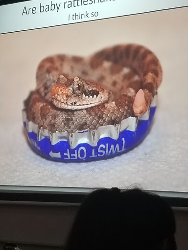 Restaurant «SUBWAY®Restaurants», reviews and photos, 14905 S Stagecoach Trail, Cordes Lakes, AZ 86333, USA