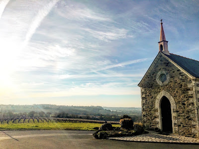 Domaine des Galloires à Orée-d'Anjou