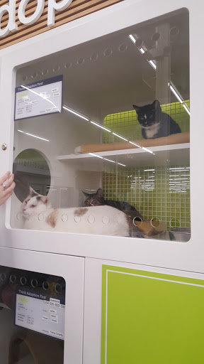 Pet Supply Store «Petco Animal Supplies», reviews and photos, 24413 Crenshaw Blvd #8, Torrance, CA 90505, USA