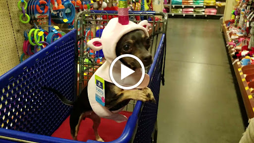 Pet Supply Store «PetSmart», reviews and photos, 3500 Ross Clark Cir, Dothan, AL 36303, USA