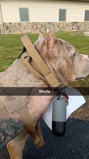 Ladysmith Veterinary Clinic image