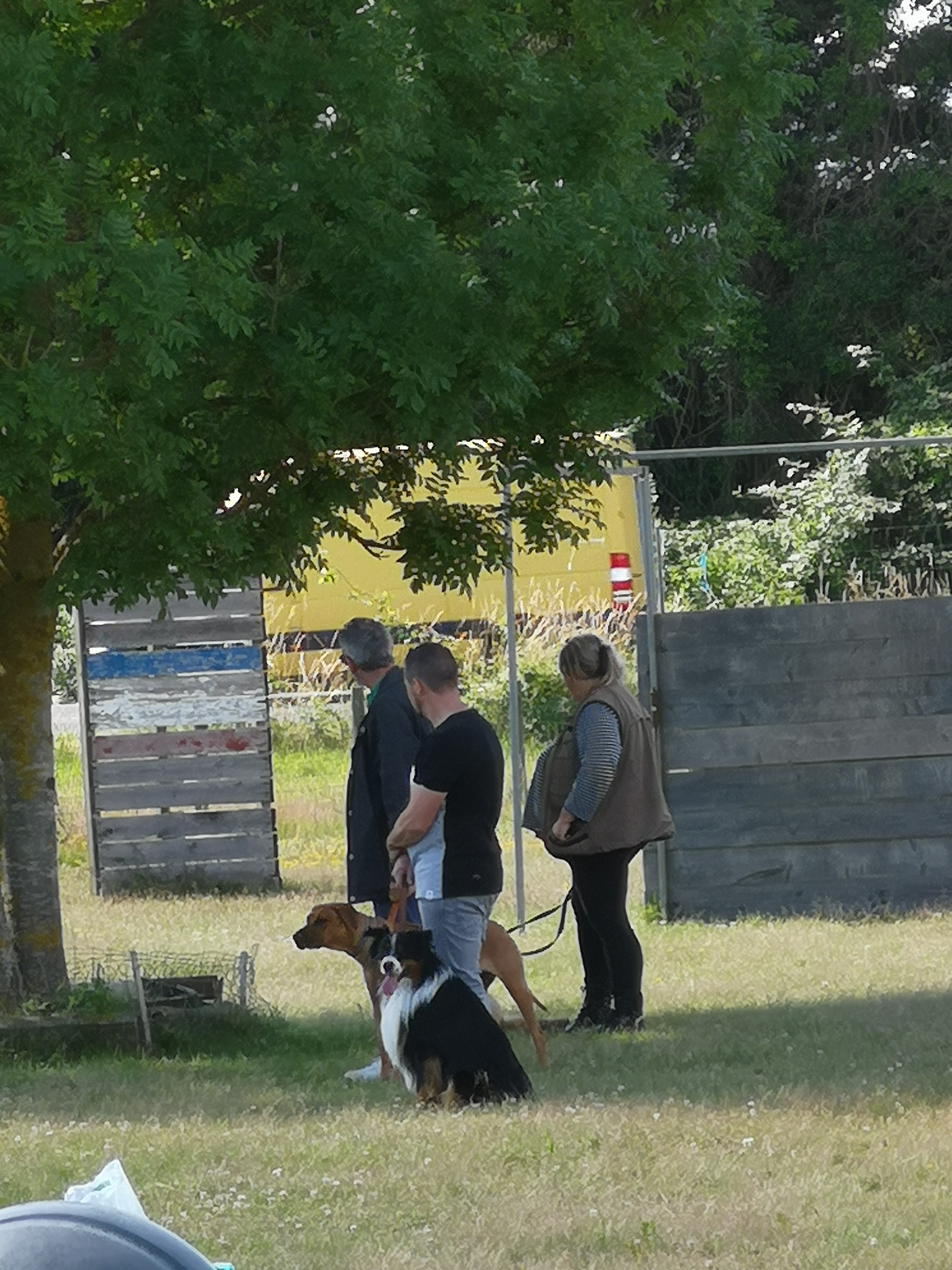 Photo n° 1 de l'avis de laetitia.e fait le 25/06/2020 à 11:33
