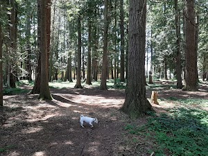Bender Fields - Lynden Parks - photo 10