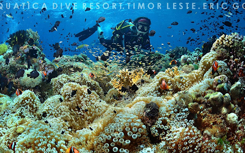 Aquatica Dive | Timor Leste / East Timor image