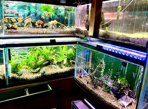 Pet Store «Aqualand Aquarium Center», reviews and photos, 5355 Chicago Ave, Minneapolis, MN 55417, USA