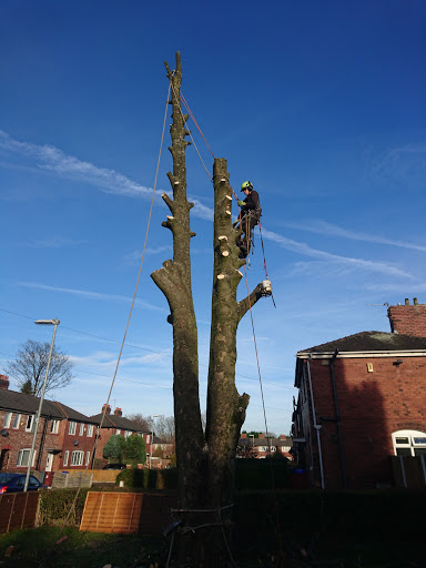 Tree pruning Manchester