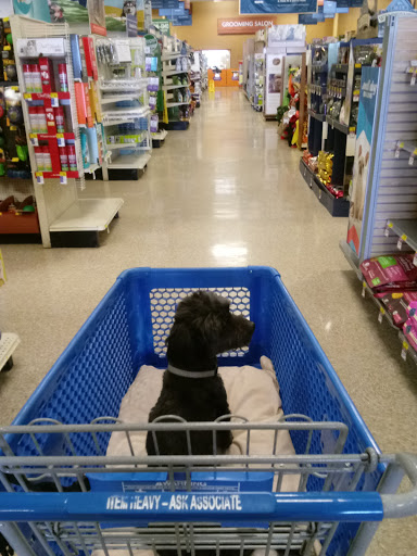 Pet Supply Store «PetSmart», reviews and photos, 263 Midway Blvd, Elyria, OH 44035, USA