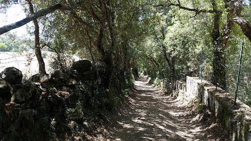 Le Parc Naturel d'Olva - Parcu Naturali d'Olva à Sartène